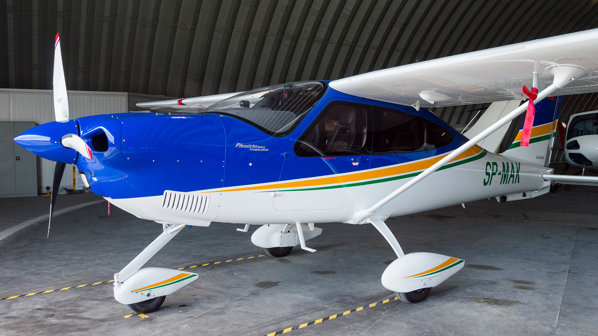 Tecnam P2010