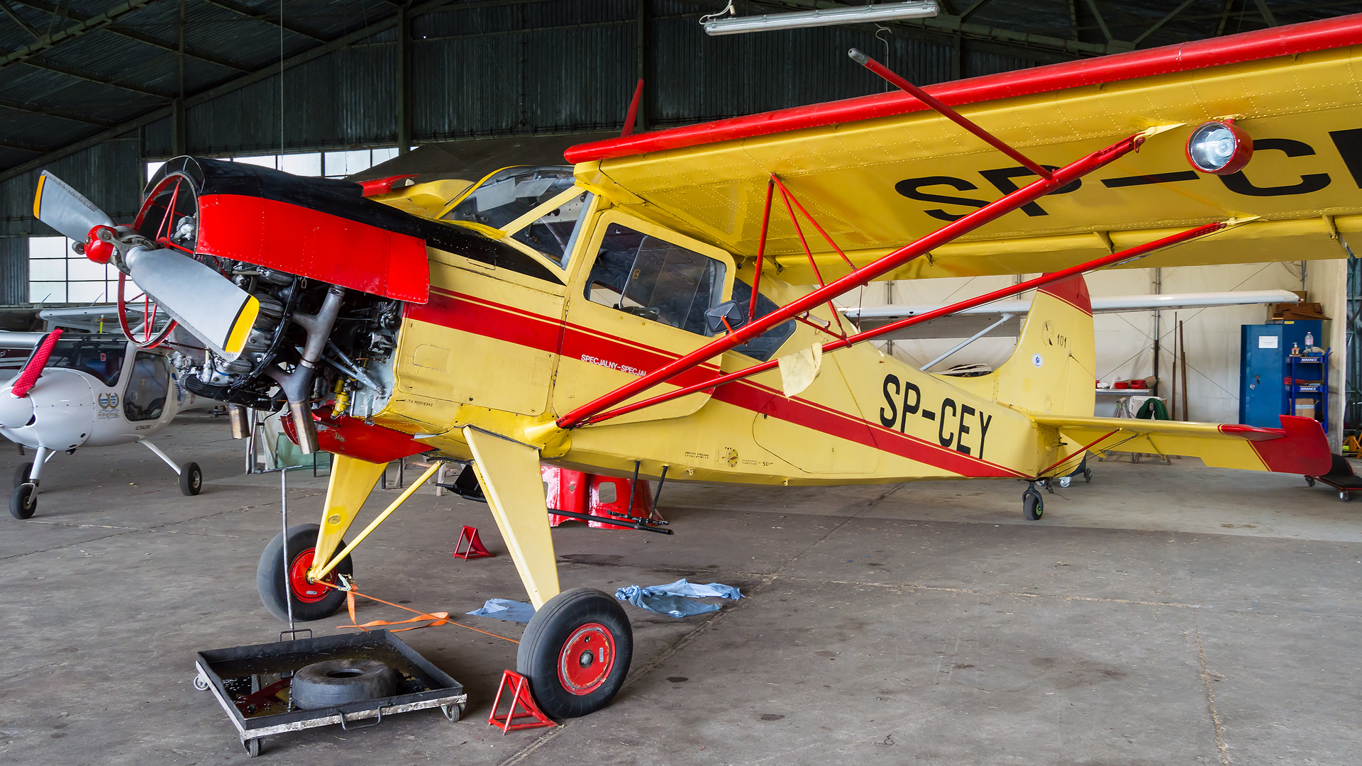 PZL 101