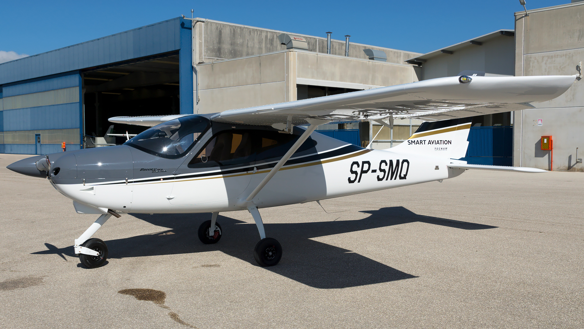 Tecnam P2008