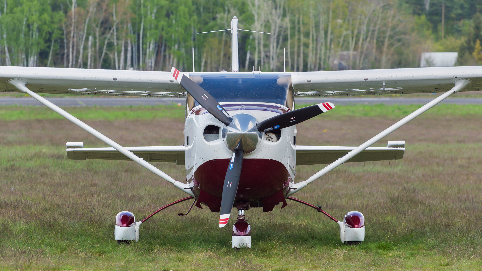Cessna 206