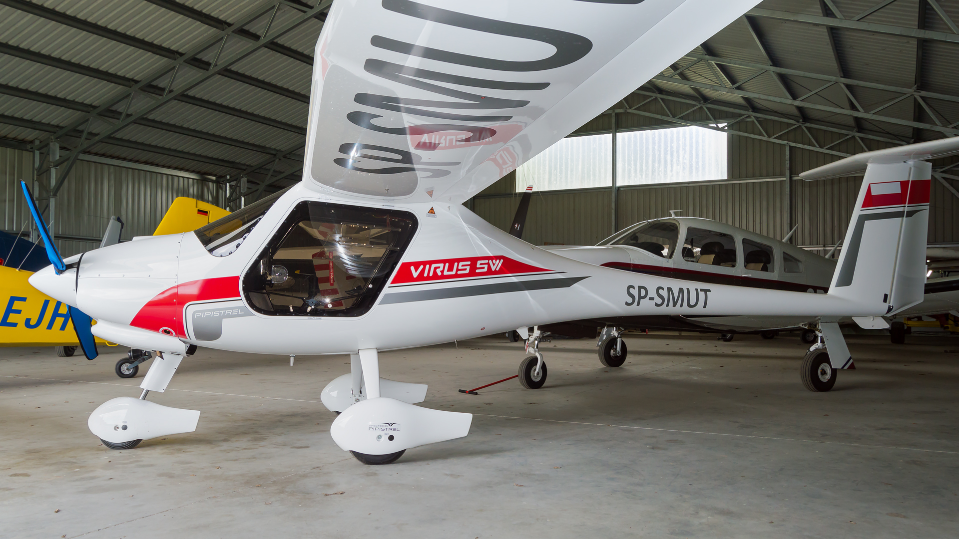 Pipistrel Virus