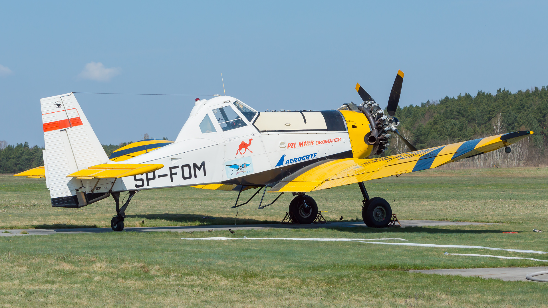 PZL M-18