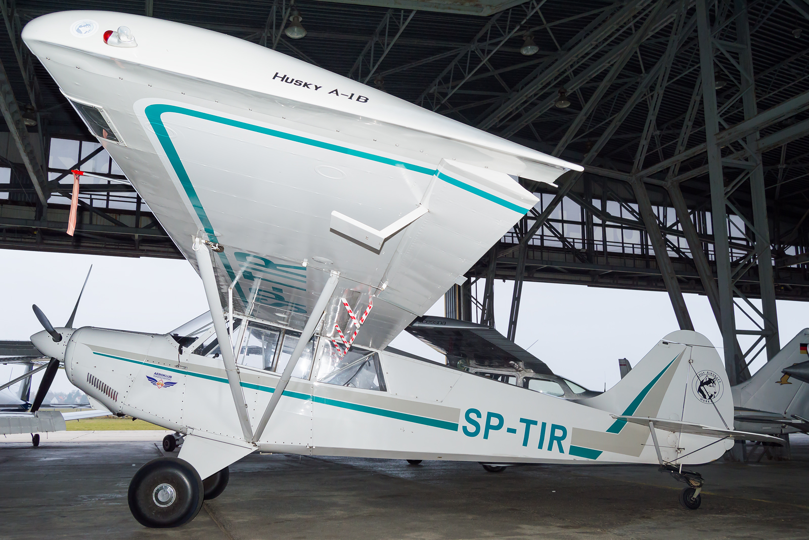 Aviat A-1 Husky