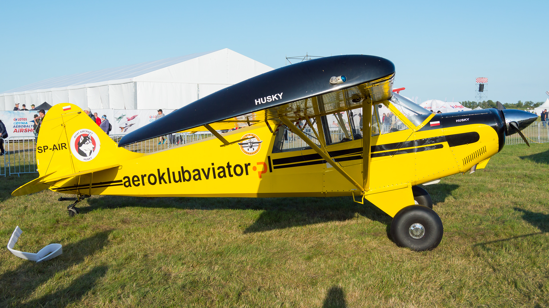 Aviat A-1 Husky