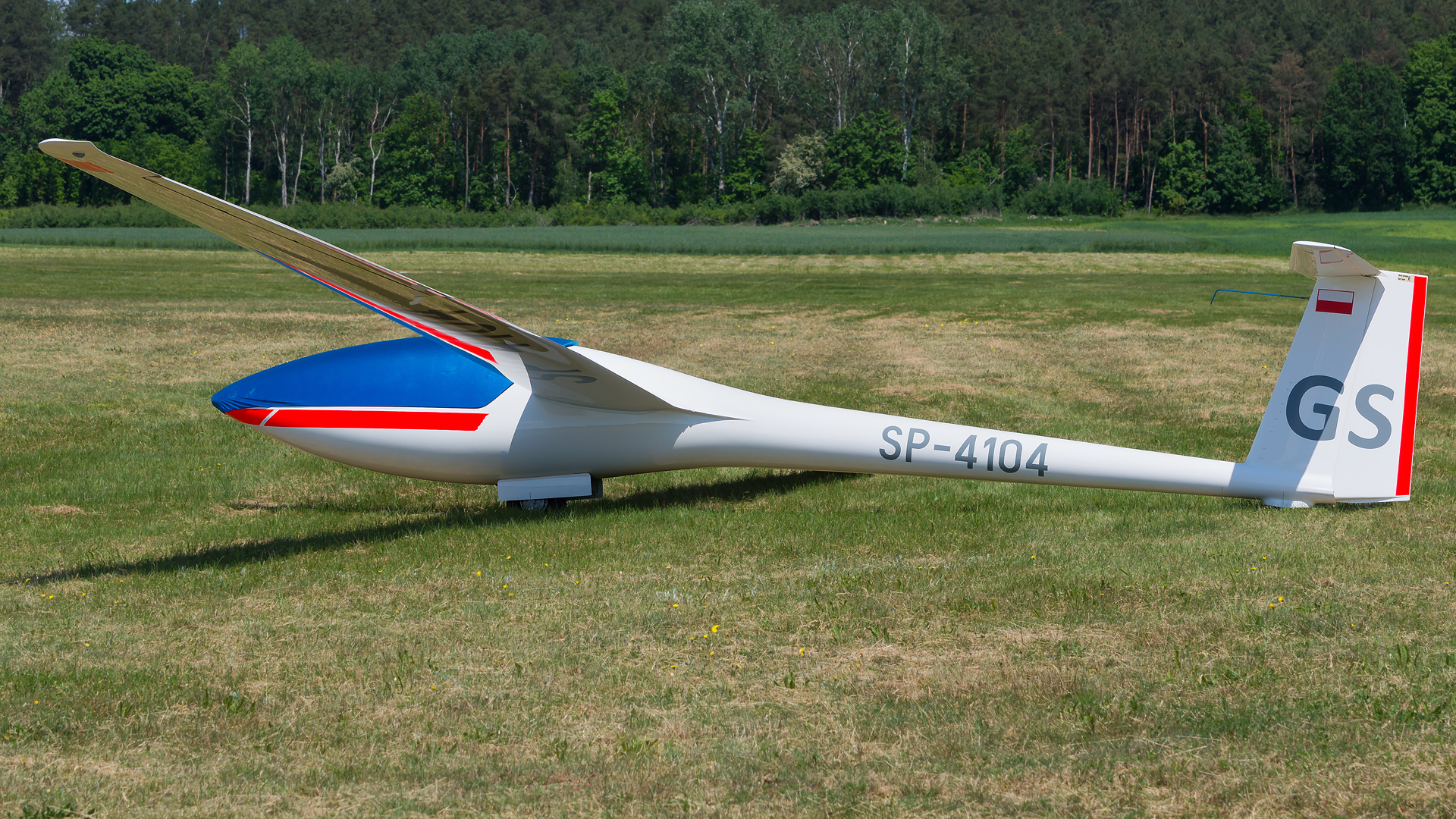 Glaser-dirks DG-300 Elan