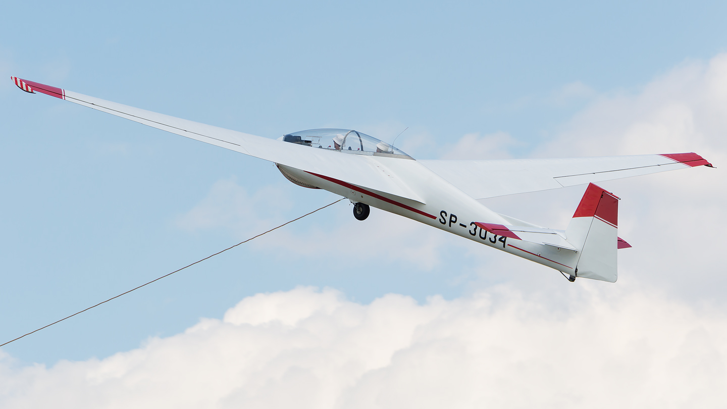Szd-9bis Bocian