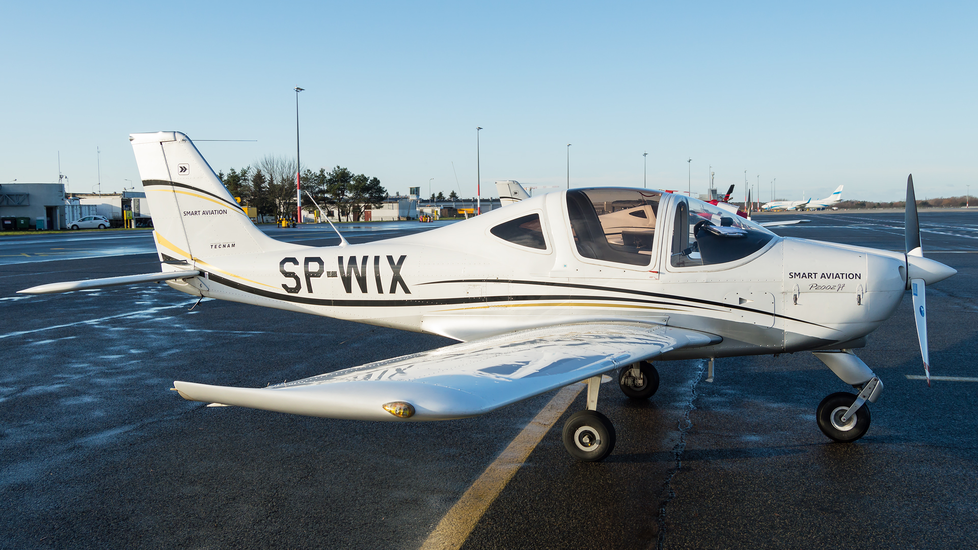 Tecnam P2002