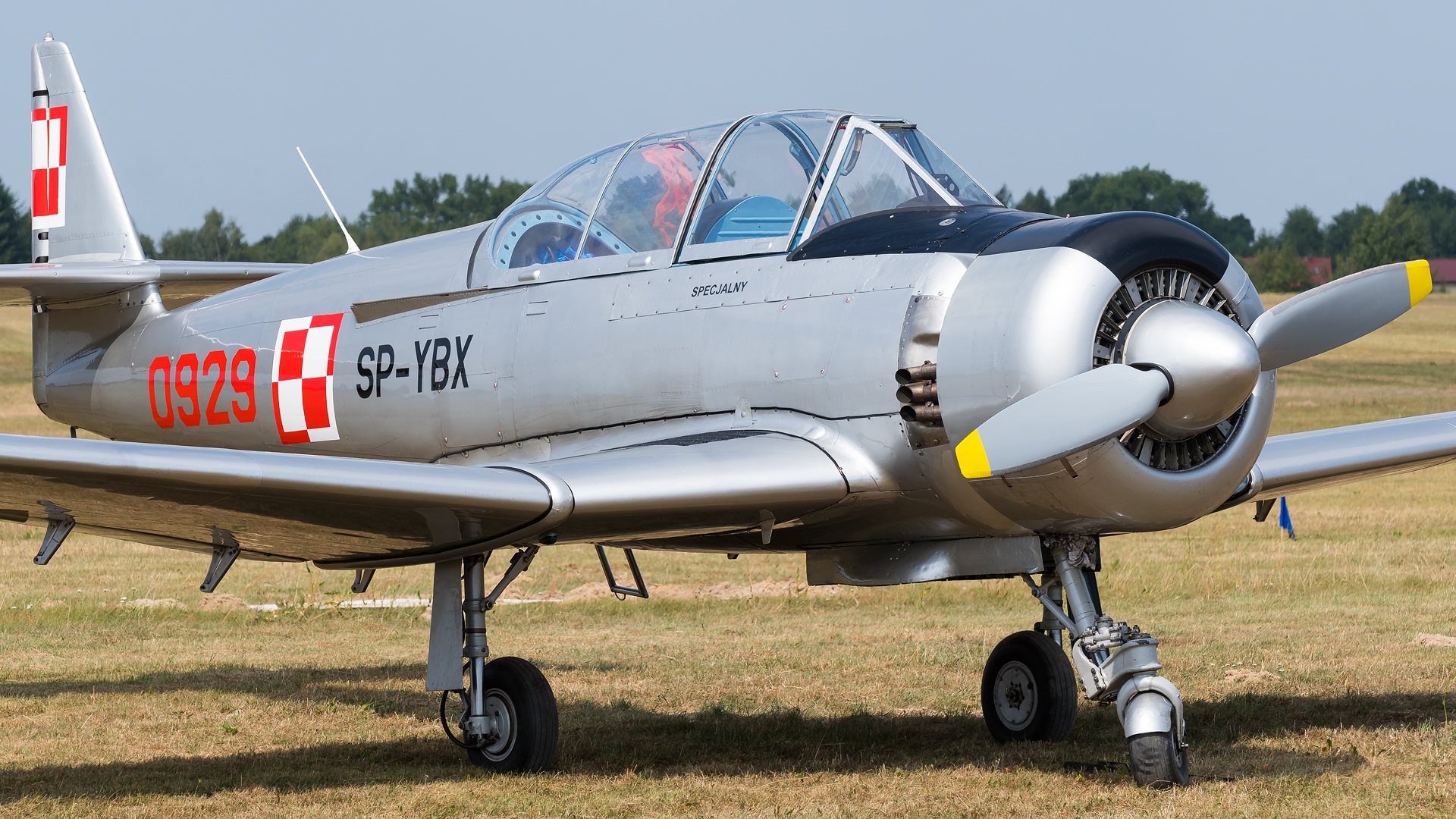 TS - 8 BIES